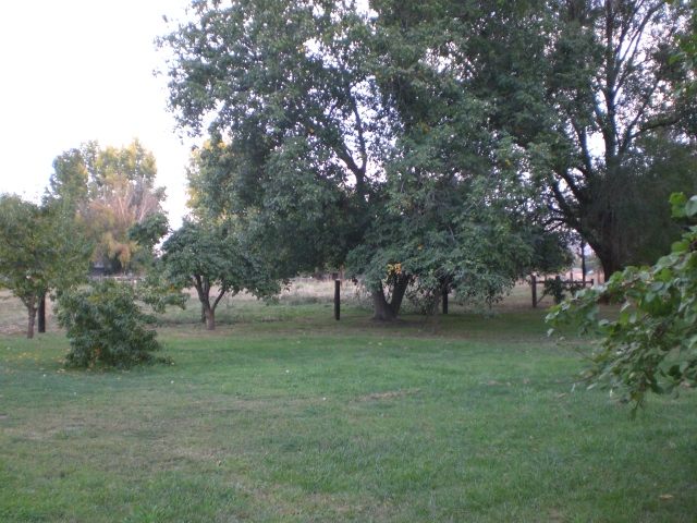 2833 S Wiley RdYakima, WA, 98903Yakima County