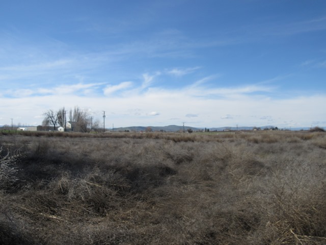 340 Snyder RdGranger, WA, 98932Yakima County