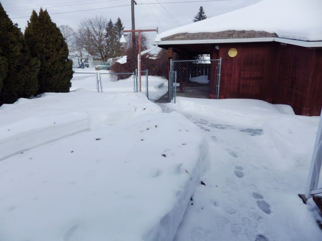 2428 W Queen AveSpokane, WA, 99205Spokane County