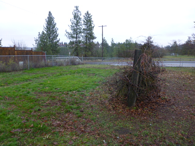 3114 West 5th AvenuSpokane, WA, 99224Spokane County