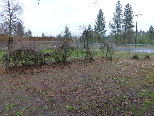 3114 West 5th AvenuSpokane, WA, 99224Spokane County
