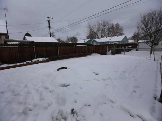 1032 Wright AveRichland, WA, 99354Benton County