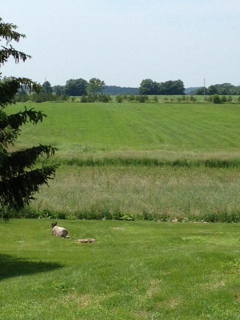 Lt0 State Road 33