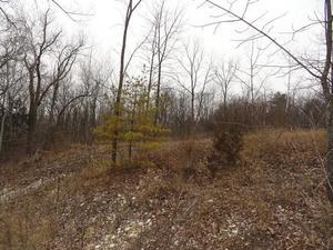 714 Hidden Lake Ct N