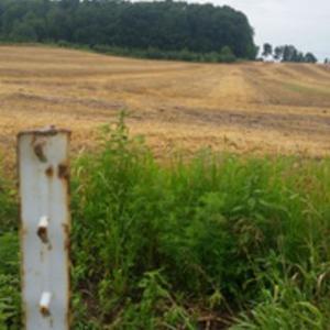 401 Slinger Rd