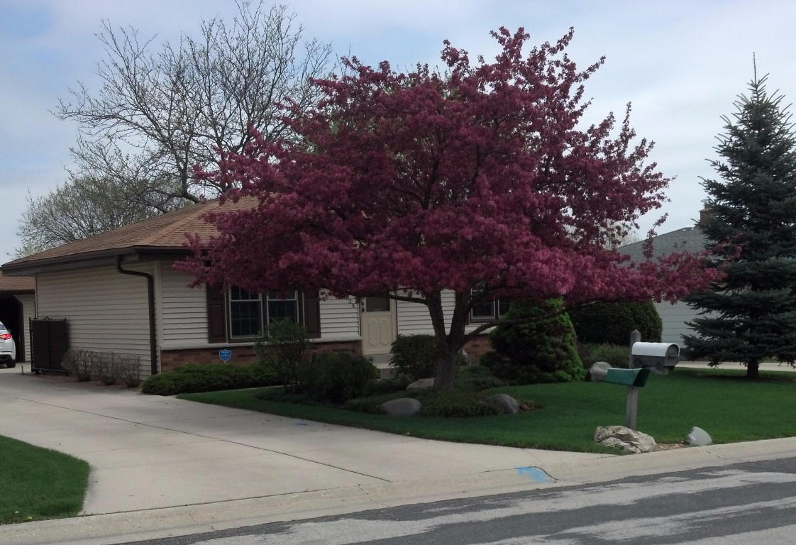 1731 Maple Dale Rd