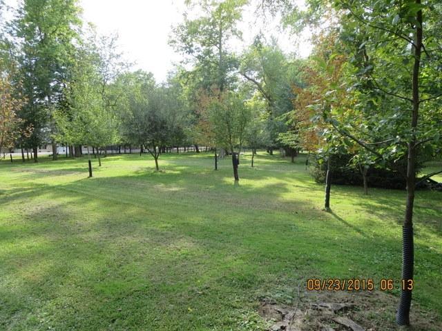 1210 Daisy Dr