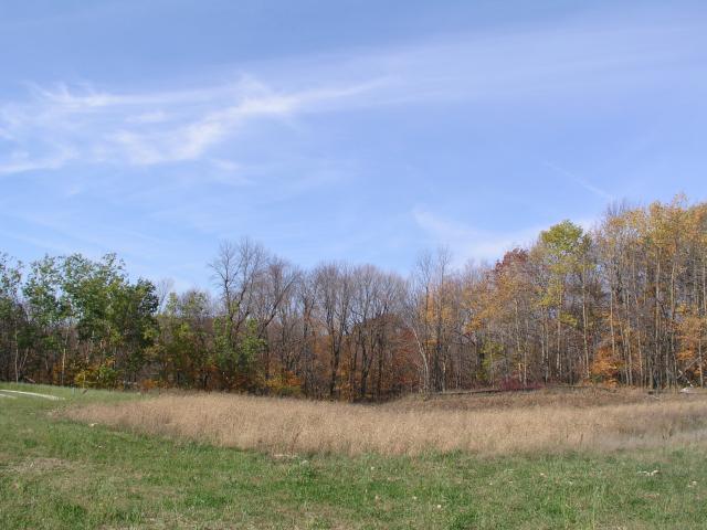 1608 Creek Rd