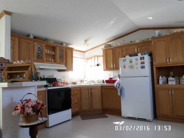 River View Hills, LLC 306 Arizona DriveTheresa, WI 53091