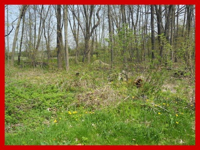 Lot 7 River Rd