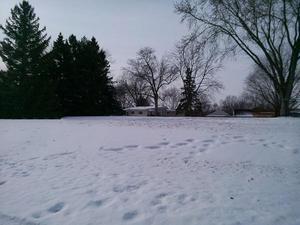 313 Riviera Ln