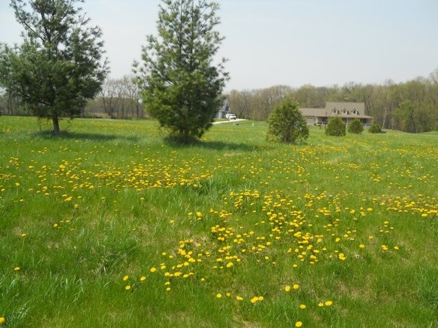 Lot 2 River Rd