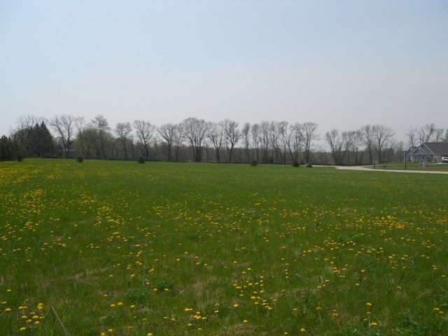 Lot 2 River Rd