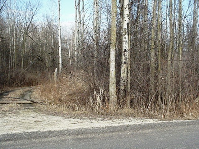 10+ Acres Pleasant Valley Rd