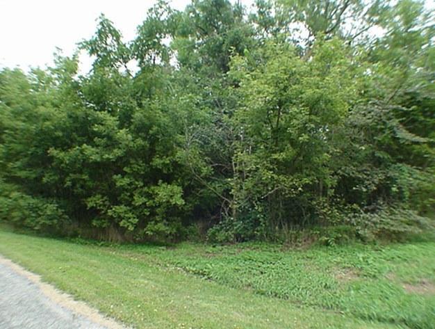 10+ Acres Pleasant Valley Rd