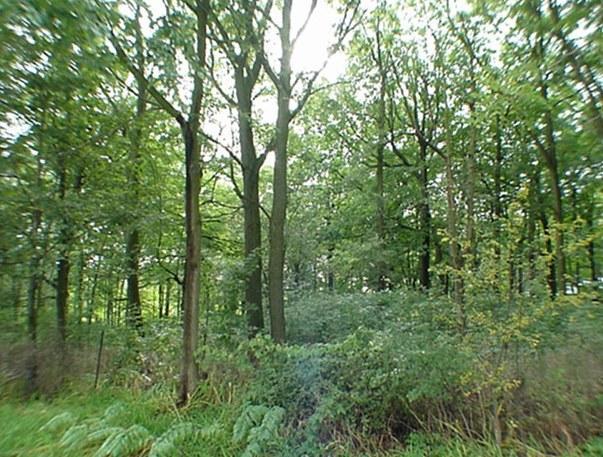 10+ Acres Pleasant Valley Rd