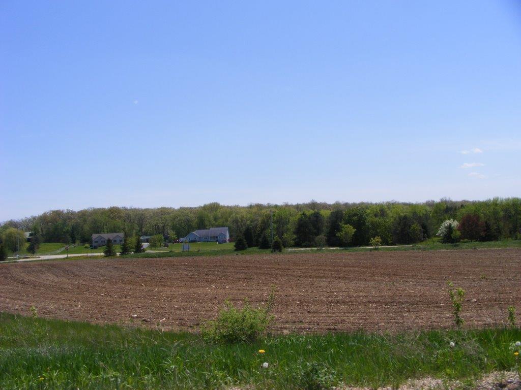 Lt1 Main St
