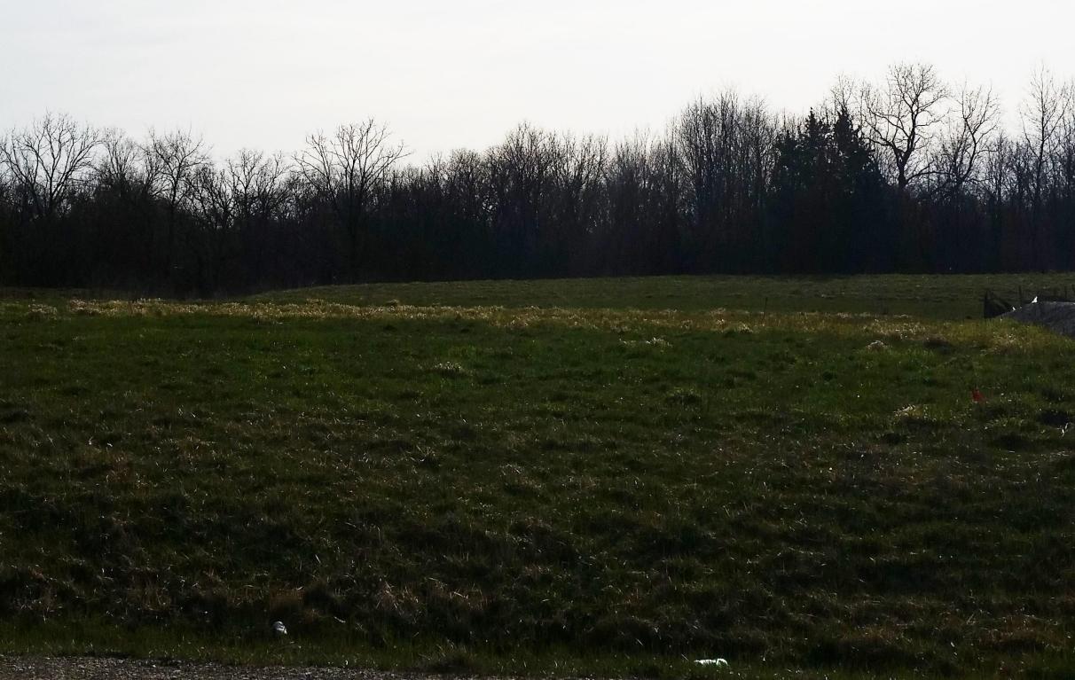 Lt2 Scenery Dr