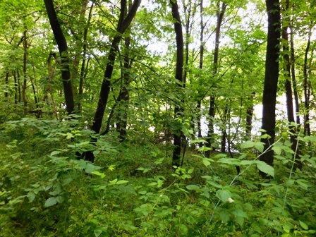 N7505 Kettle Moraine Dr