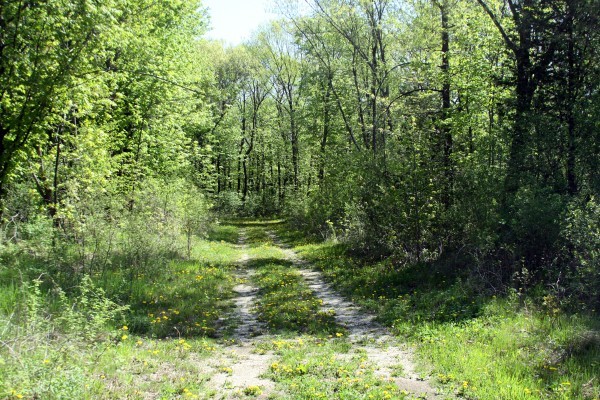 Lt1 Lorwood Acres