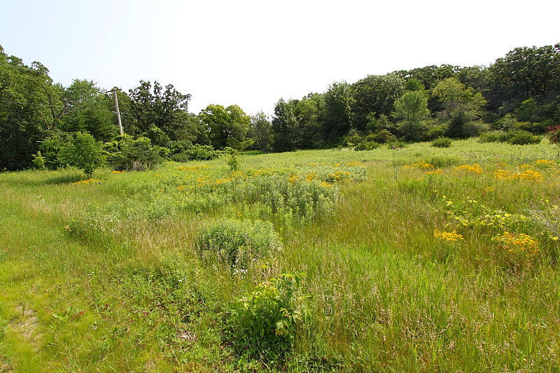 Lt1 Lorwood Acres