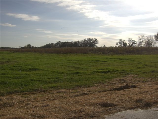L32 Forest Park Dr