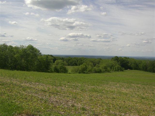 L29 Forest Park Dr