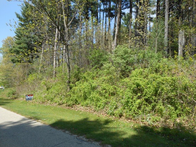 Lot 1 Csm 4510 Michael Dr