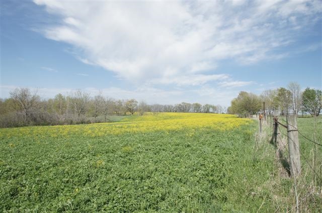 557 Ferndale Rd