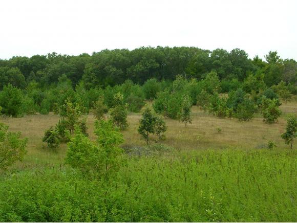 W7844 Wisconsin Trunk Highway 11