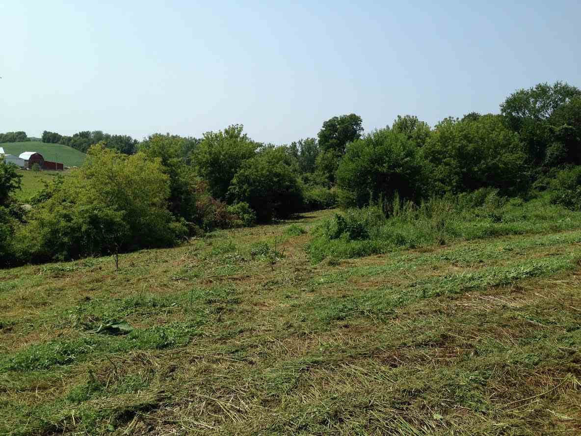 Lot 10 Valle Tell Cir