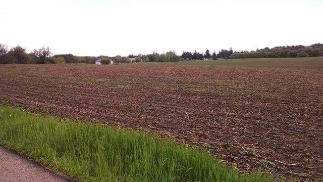 S12138 Williams Rd
