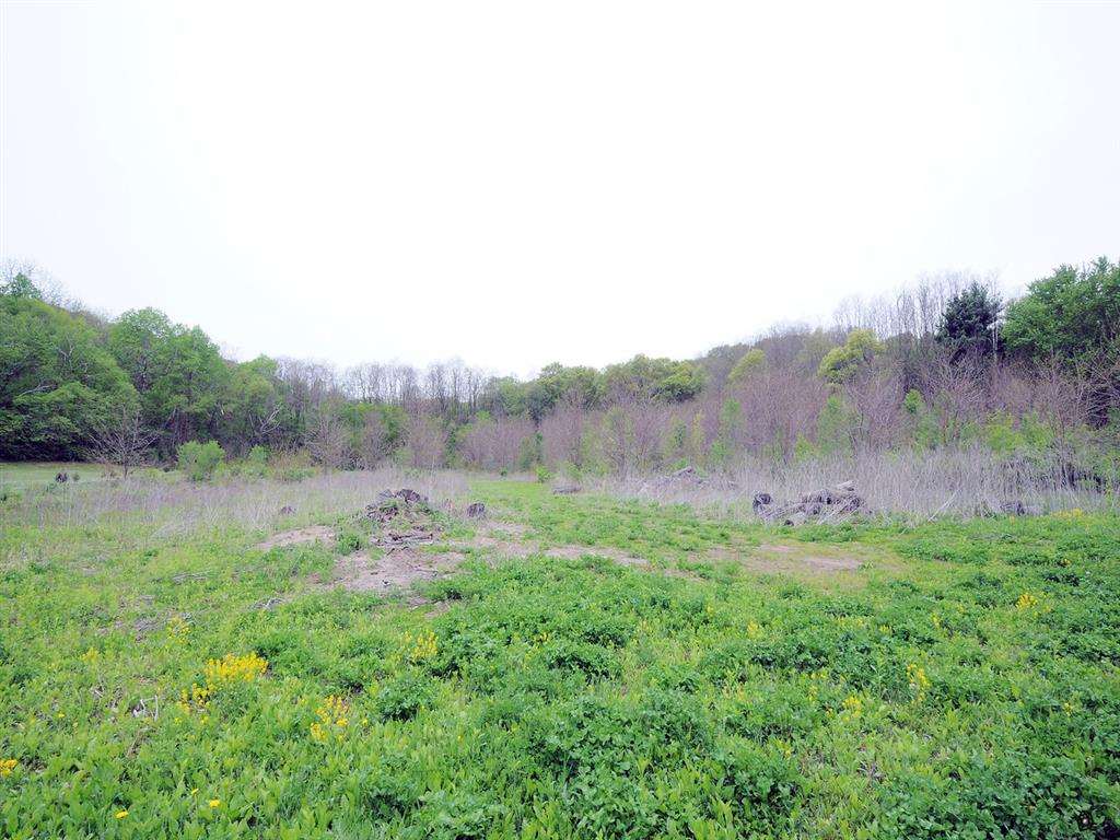 S12138 Williams Rd