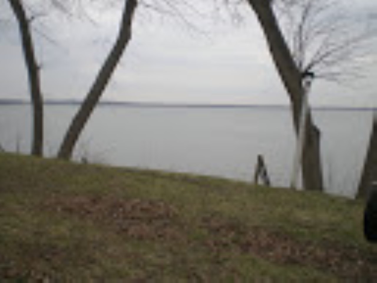 3138 Shadyside Dr