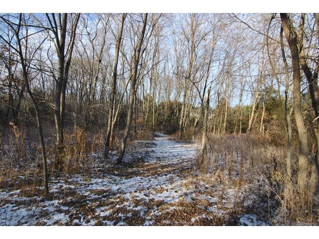 1135 Bluebird Trail