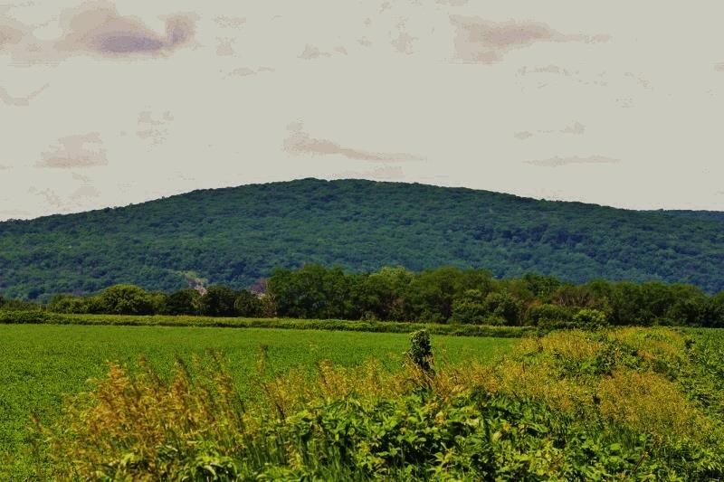 Lot 13 Buffalo Ridge