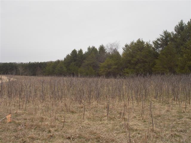 Lot 1 24Th Ave