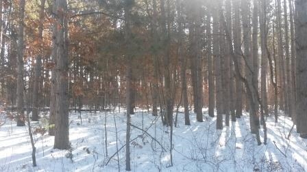 0 Amherst Dr