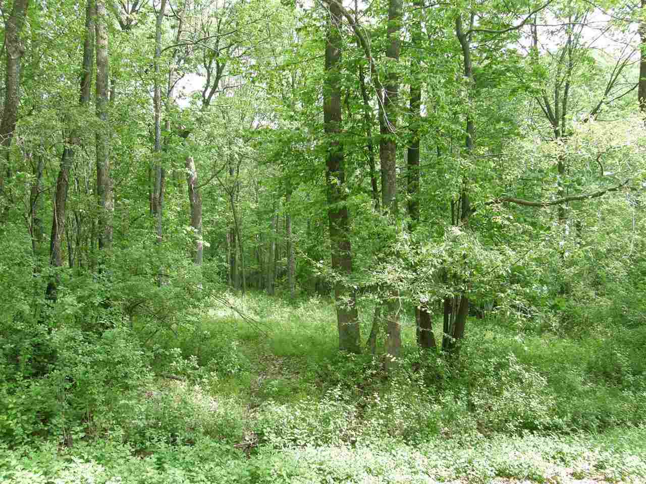 Lot 5 Riverview Dr