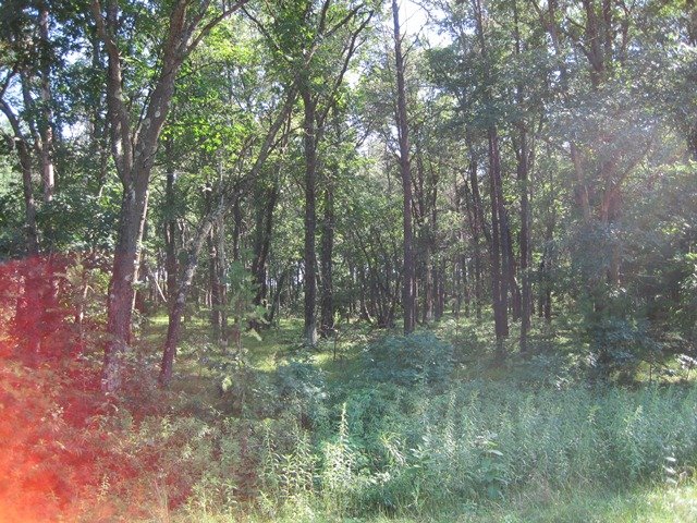 Lot 3 Meadow Dr