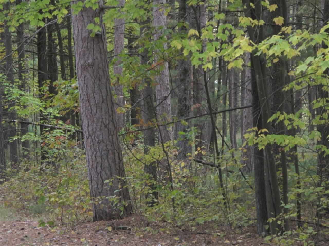 Lot 98 N Stone Gate Dr