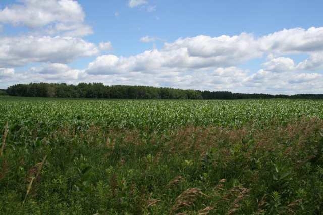 Lot 3 Hwy 82