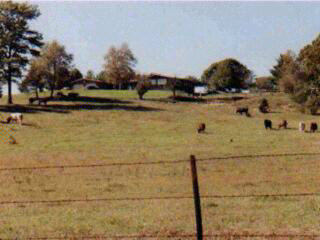S2155A HWY 23, Reedsburg, WI 53959