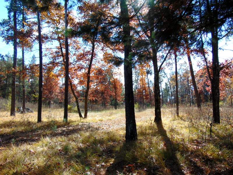 N6841 3Rd Rd