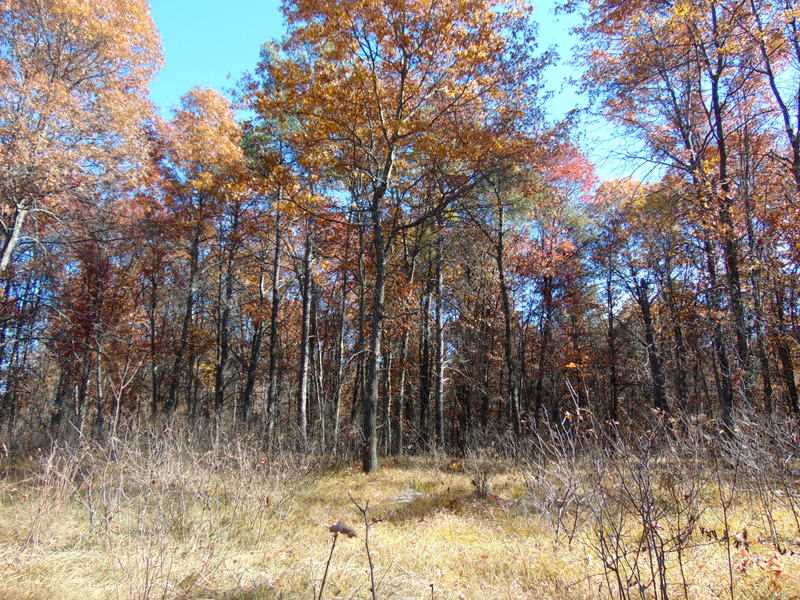 N6841 3Rd Rd