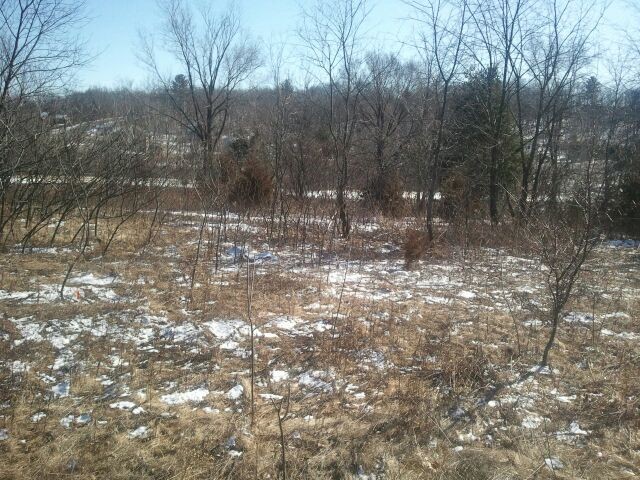 Lot 31 Magnolia Ct