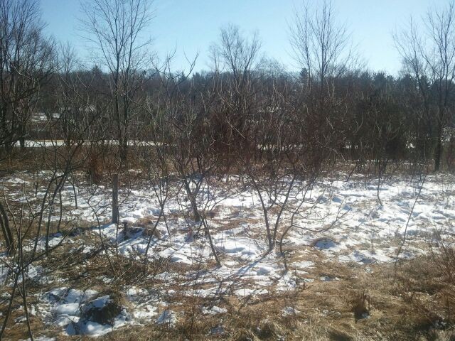 Lot 31 Magnolia Ct
