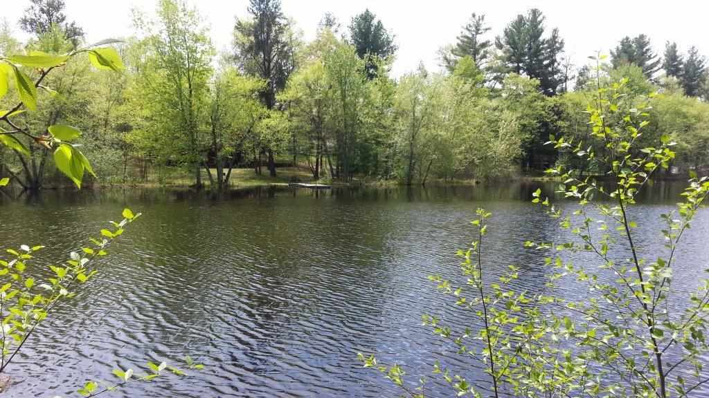 Lot 50 Pebblebeach Dr