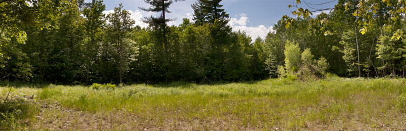 Lot 16 Bushwood Lane
