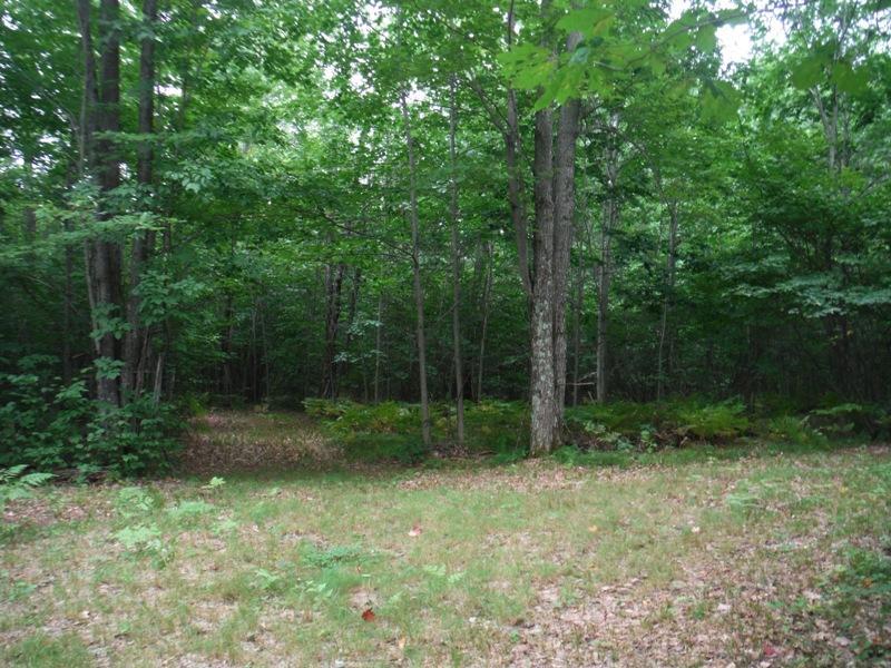Lot 16 Bushwood Lane